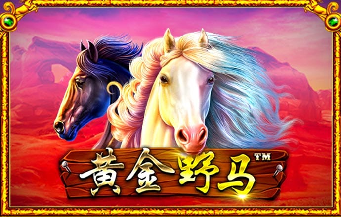 爱体育app官网登录入口手机版